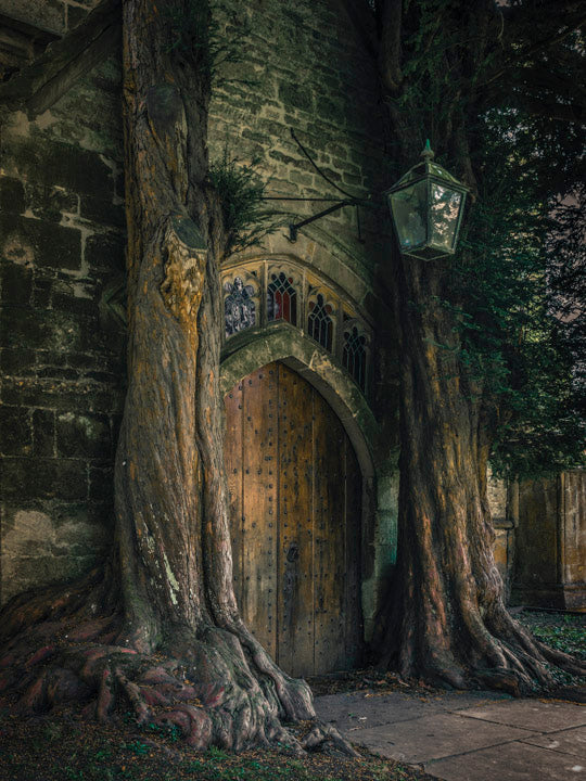 Tolkienian Doorway - Fine Art Print